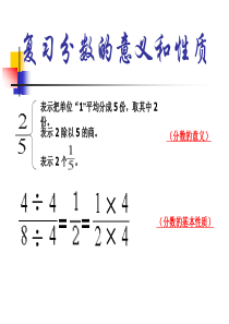 分数的意义和性质整理和复习[1]