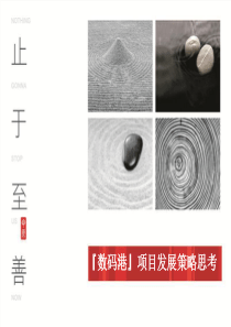 中原_深圳数码港商业项目发展策略思考_75P