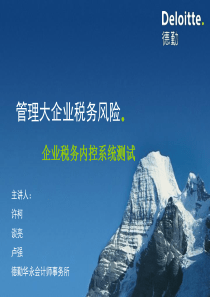 税务风险管理培训(Deloitte)