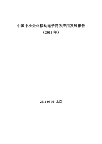 中国中小企业移动电子商务应用发展报告(XXXX年)