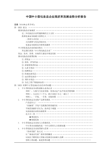 中国中小型化妆品企业现状和发展态势分析报告（续A） (1)