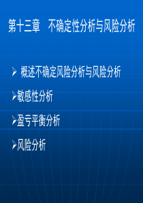 第13章不确定性分析与风险分析