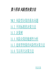 第14章风险性决策方法