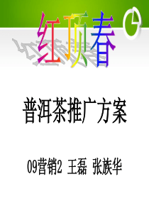 “红顶春”普洱茶营销推广方案