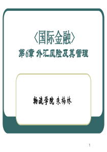 第6章外汇风险及其管理(国际金融-北师大朱梅林)