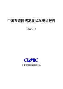 中国互联网络发展状况统计报告13th(1)