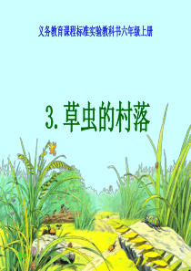 3《草虫的村落》课件[1]