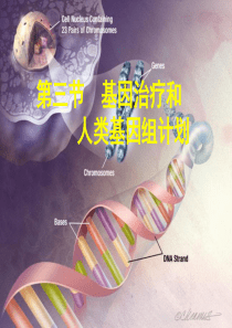 必修二第六章基因治疗和人类基因组计划共23页文档