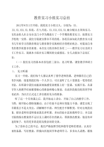 小学教育实习小组总结