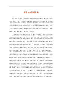 中国企业发展之路doc19(1)