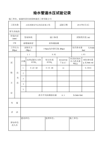 球墨铸铁管管道试验记录表