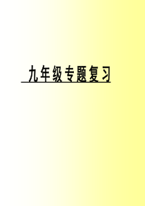 9年级专题复习,self