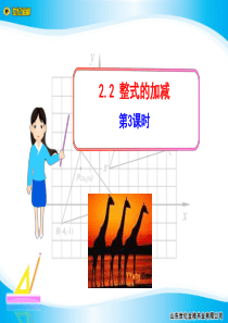 2.2 整式的加减 第3课时