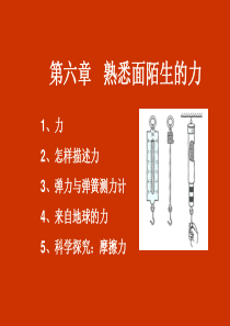 6.4来自地球的力 沪科版 课件