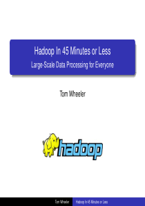 Hadoop In 45 Minutes or Less