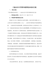 青年教师校本培训项目方案