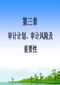 第三章审计计划、审计风险及重要性