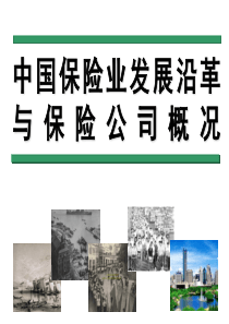 中国保险业发展沿革与保险公司介绍