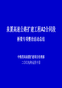 85桥梁预制标准化实例