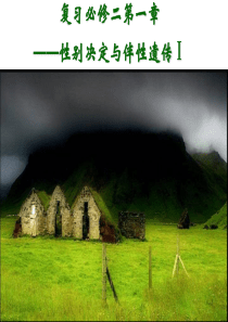 1[史上最强生物课件]复习必修二遗传的基本规律―性别决定与伴性遗传1 2010.11.3