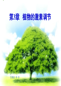 植物生长素的发现(动画很好) 3