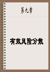 第九章有效风险分散