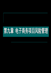 第九章电子商务项目风险管理