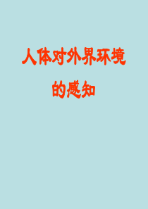 人教版生物七年级下册教学课件 4.6.1 人体对外界环境的感知 (共18张PPT)