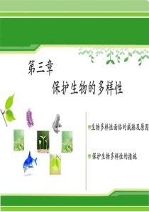 人教版生物八年级生物上册课件-6.3 保护生物的多样性 (共16张PPT)