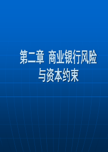 第二章资本与银行风险管理