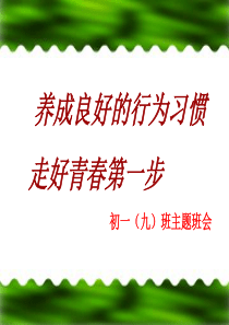 行为习惯养成主题班会 (2).