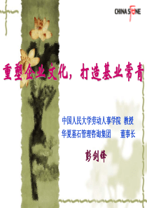 彭剑锋--塑企业文hua,打造基业常青