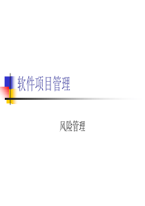 第五讲-项目风险管理