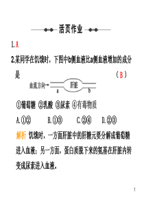 23三大营养物质代谢与人体健康