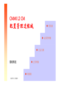 6 CMMI L2 CM(配置管理)