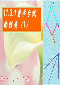 八年级数学上：11.3角平分线的性质(第1课时)课件人教新课标版