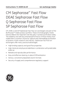 DEAE-Sepharose-Fast-Flow-说明书