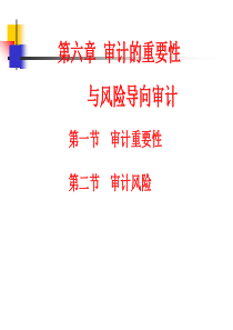 第六章审计重要性与风险导向审计新信息