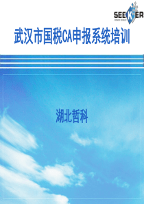 武汉市国家税务局CA网上申报教程