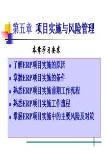 第十一章ERP实施与风险管理