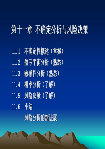 第十一章风险与不确定性分析