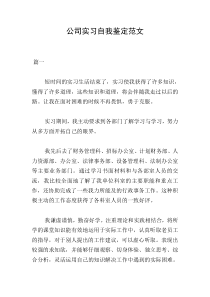 公司实习自我鉴定范文