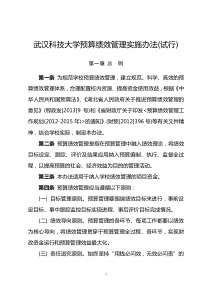 武汉科技大学预算绩效管理实施办法试行-信息公开