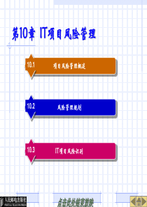 第10章IT项目风险管理