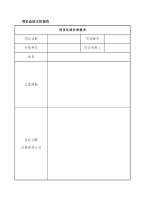 项目总结分析报告