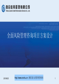 联合信用管理公司全面风险管理咨询项目方案设计--huzaisheng