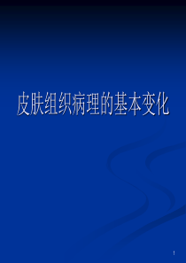 皮肤组织病理的基本变化PPT精选课件