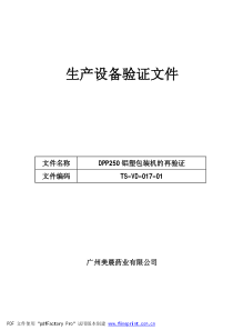 TS-VD-017-01DDP250 铝塑包装机再验证文件