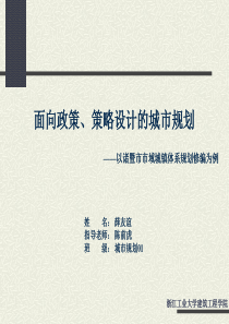 《面向政策、策略设计的城市规划》