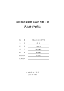 航空航天大学-沈阳青花副食酿造有限责任公司风险分析与